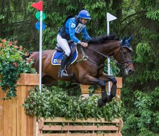 Steceno, 1st place Eventing Maarsbergen 2015 (class L), © Eventingphoto.com