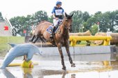 Jalapeno, 2nd place CIC2* Renswoude 2016 ©eventingphoto.com