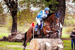 Grandioz, 1st place CCI3* Floresti 2015, Romania © Karpatia Horse Trials