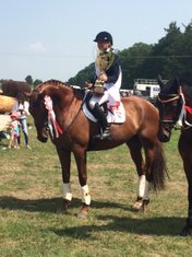Jalapeno, 1st place CIC2* Strzegom Horse Trials 2016